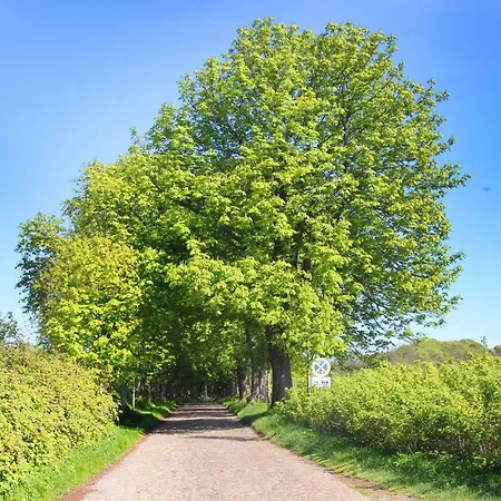 Ostseeperle Nr 17 Mit Gratis Sauna- Und Schwimmbadnutzung Im Ahoi Sellin アパート