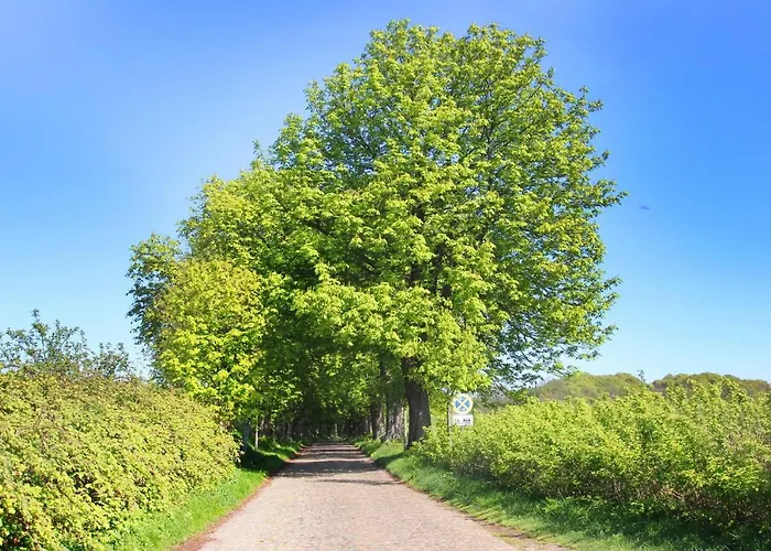 Ostseeperle Nr 17 Mit Gratis Sauna- Und Schwimmbadnutzung Im Ahoi Sellin Apartmán